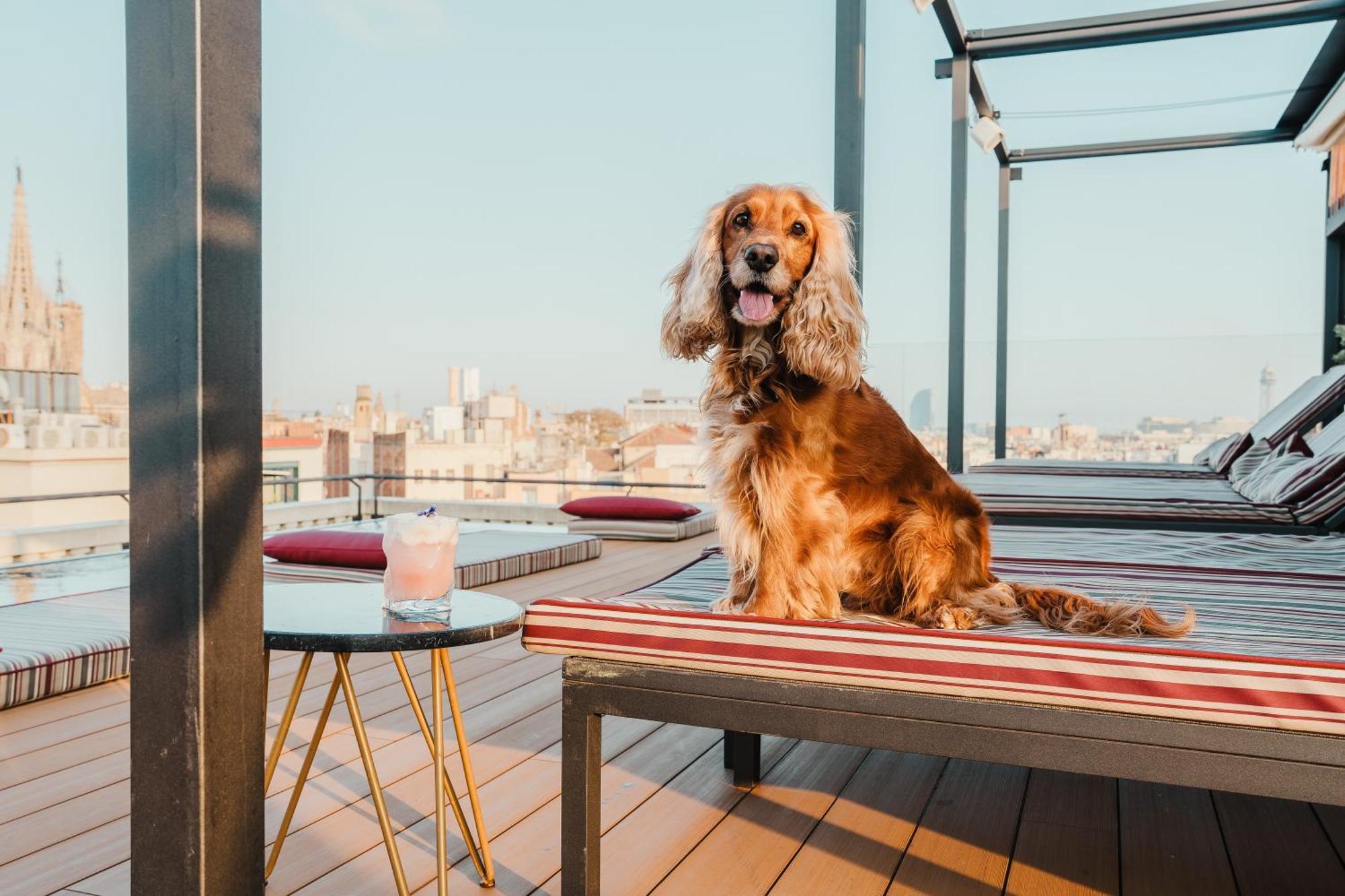 Kimpton Vividora Hotel By Ihg Барселона Екстериор снимка